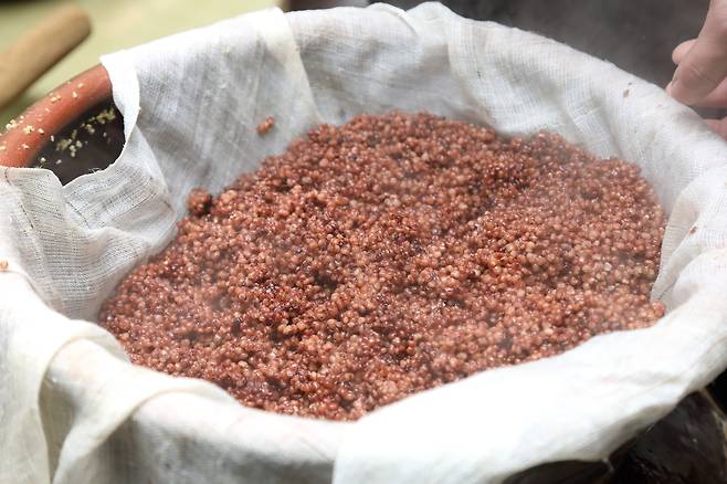 문배주에 들어가는 조와 수수 사진 출처 : 국립민속박물관 한국민속대백과 사전