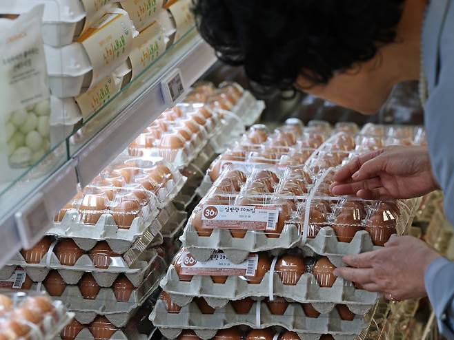 지난 3일 서울시내 한 대형마트에서 고객이 계란을 고르고 있다. /뉴스1