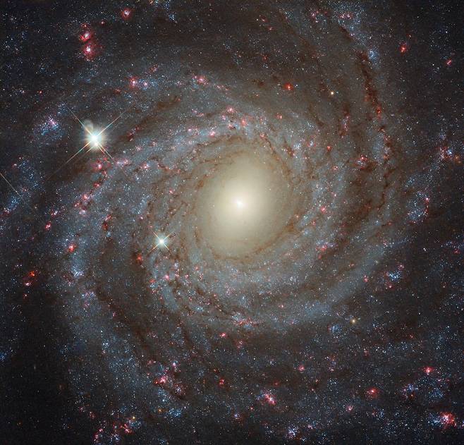 나선 은하 NGC 3344. /NASA