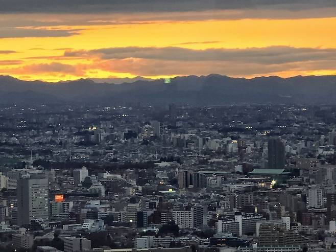일본 도쿄 시부야스카이에서 찍은 전망대 풍경 사진