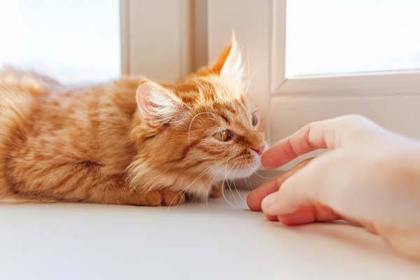 사진=게티이미지뱅크