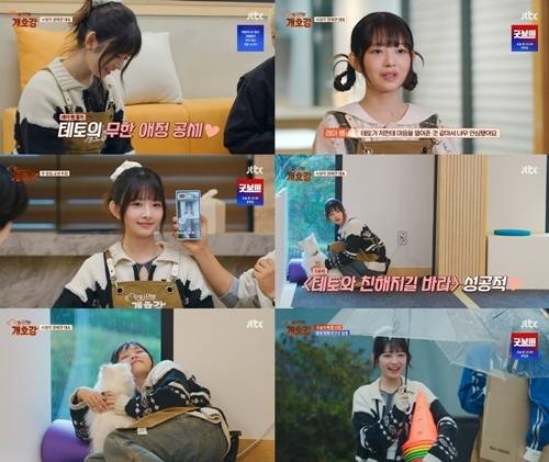 아이브(IVE) 레이가 반려견에게 진심 어린 애정을 전했다.
