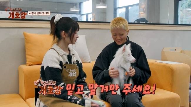 사진=JTBC ‘집 나가면 개호강’