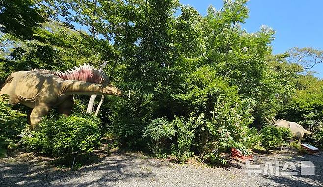 [제주=뉴시스] 임재영 기자 = 포레스트 사파리는 자료상으로 공룡 테마파크인지, 정원인지 헷갈렸는데 지난 3일 직접 방문하고 나서야 동물모형이 실감나게 포진한 숲 정원임을 알 수 있었다. 2025.06.08. ijy788@newsis.com