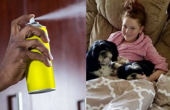 미국 애리조나주에서 10대 소녀 레나 오루크가 틱톡 등 소셜미디어(SNS)에서 유행하는 ‘크로밍 챌린지’를 흉내내다 뇌사 상태에 빠졌다. ‘크로밍 챌린지’는 스프레이 등 휘발성 물질을 흡입해 환각 증상에 빠지는 모습을 SNS에 올리는 것으로, 지난 수년 사이 미국과 영국, 호주 등에서 ‘크로밍 챌린지’를 흉내내던 10대가 숨지는 사고가 발생했다. 오른쪽 사진은 레나의 아버지가 공개한 레나의 어린 시절 모습. 왼쪽은 스프레이 이미지.(기사와 관련없음) 자료 : 아이클릭아트·고펀드미