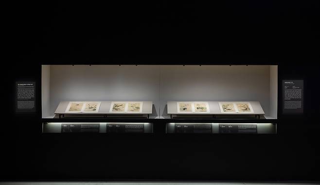 겸재 정선의 '화훼영모화첩'이 대구간송미술관 '화조미감'展에서 전시 중이다.<대구간송미술관 제공>