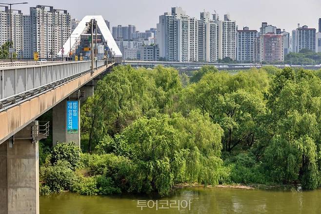 &nbsp;서강대교에서 본 밤섬 /사진-서울관광재단