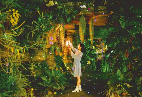 국립세종수목원(사진 한국수목원정원관리원)