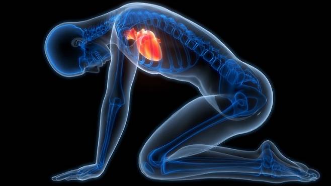 혈액을 분석해 심방세동을 예측하는 인공지능(AI) 모델이 개발됐다. 심방세동을 느끼는 사람을 나타낸 이미지. 게티이미지뱅크 제공