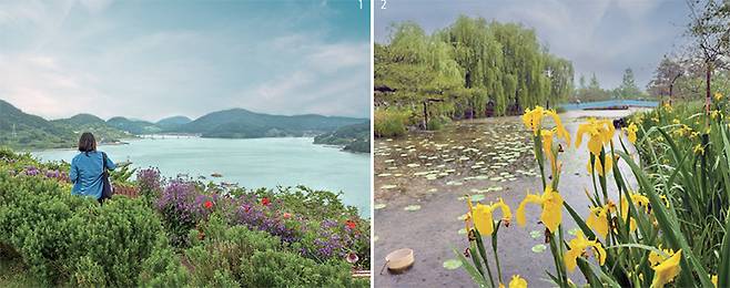1 나로도항에서 배로 3~5분 거리에 있는 ‘쑥섬’의 난대림은 마을 사람이 신성하게 여겨 400년 동안 외부에 개방하지 않다가 2016년부터 일반에게 공개했다. 쑥섬 정상인근의 풍경. 2 금세기정원의 수변 공원. /이용성 기자