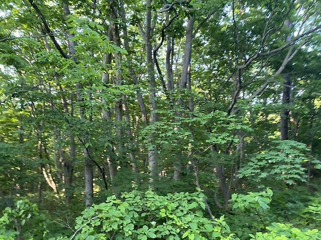 IMG_6810.jpeg 홋카이도 2일차