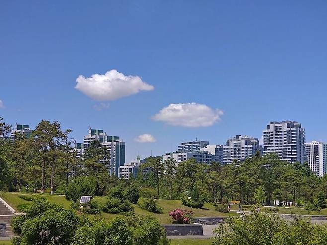 17494498936863.jpeg 김일성 종합대학 초여름 캠퍼스 사진