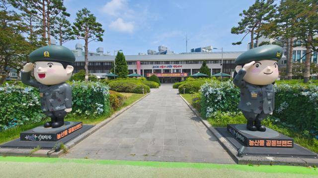 논산시청 전경. 한국일보 자료사진
