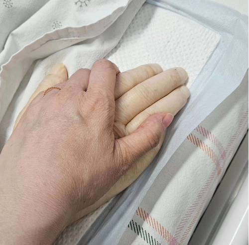 사진 = 김정난 SNS