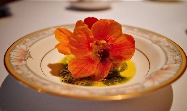 재배한 한련화로 만든 디쉬. 기가스 제공