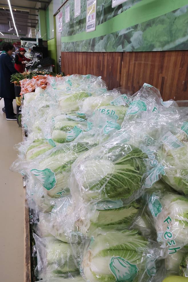 서울 서초구 하나로마트 양재점에 배추 당근 등 농산물이 진열돼 있다. [연합]