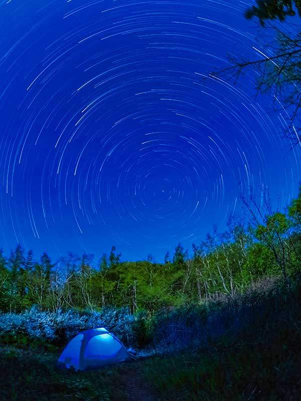 조팝나무 군락지 야경. 밤새 수많은 별들이 북극성을 중심으로 궤적을 그리며 이동했다.