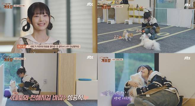 '집 나가면 개호강' 아이브 레이, 시청각 장애견 '테토' 감동 케어