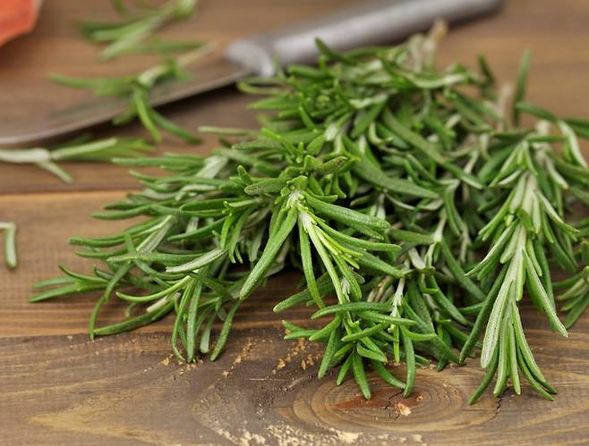 메틸 아답토젠이란 식물성 천연화합물이 든 식품이 후성유전학적 나이를 8주만에 1.2년 줄이는 데 큰 역할을 했다.  강황, 로즈마리, 마늘, 딸기, 녹차, 우롱차 등이 메틸 아답토젠 식품이다. 사진은 염증 개선과 예방에 도움이 된다는 로즈마리. [사진=게티이미지뱅크]