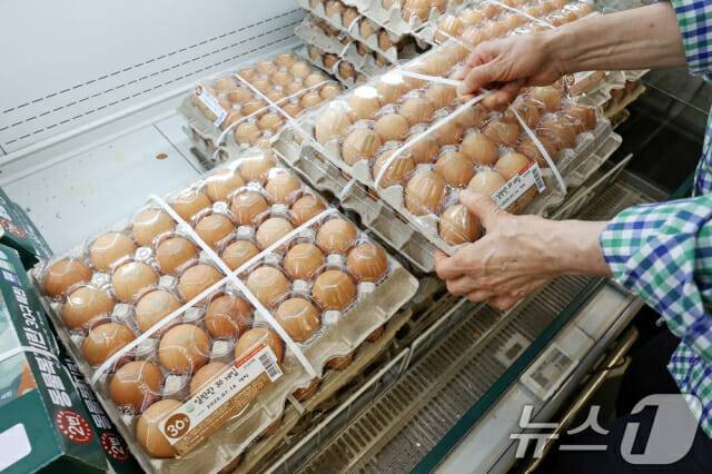 서울의 한 대형마트에서 시민들이 달걀을 고르고 있다. (사진=뉴스1)