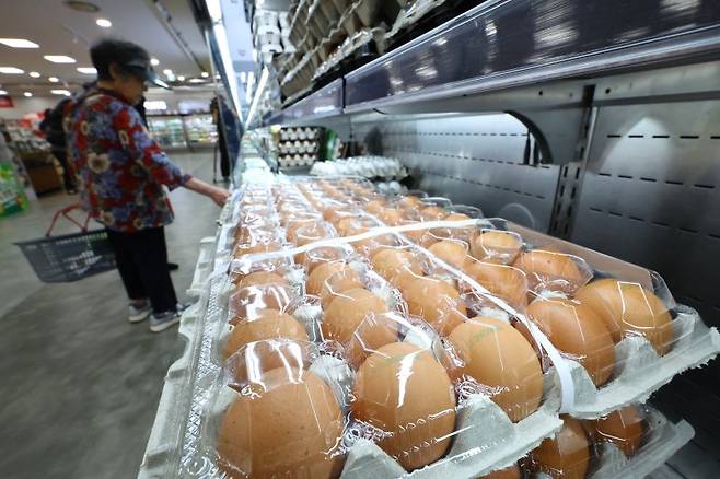 9일 서울 시내 한 대형마트 계란 매대에 소비자들이 계란을 고르고 있다. 축산물품질평가원 축산유통정보에 따르면 8일 기준 특란 30구의 평균 가격은 7034원으로 1년 전(6525원)보다 7.8% 올랐다. 계란 한 판 가격이 7000원을 넘어선 것은 지난 2021년 7월 이후 약 4년 만이다. 뉴시스