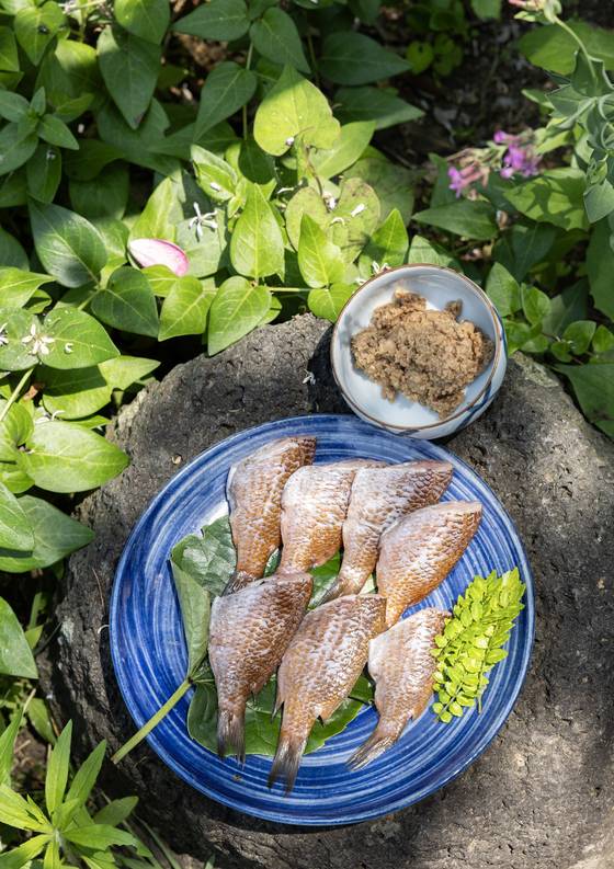 싱싱한 자리를 내장 빼고 손질해 한 입 크기로 토막 낸 다음 제피잎, 된장과 함께 먹는 5~6월 제철 별미. 최기웅 기자