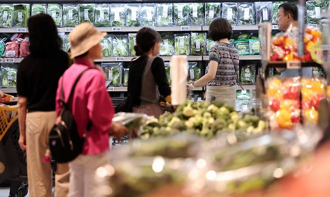 더불어민주당 오세희 의원이 공휴일 대형마트 의무휴업 관련 법안을 발의한 가운데 정치권 이곳저곳에서 반대의견이 거세다. 서울 시내 한 대형마트에서 시민들이 장을 보고 있다. /사진=뉴스1