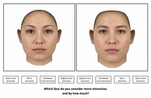 [서울=뉴시스] 성별, 인종, 성적 지향과 관계없이 여성적인 외모가 남성적인 외모보다 더 높은 매력도를 얻는다는 연구 결과가 나왔다. (사진 = Preferences for Facial Femininity 논문 캡처) 2025.06.09. *재판매 및 DB 금지