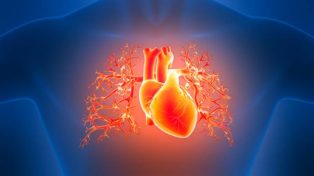 혈액 속 단백질을 분석해 심방세동을 예측하는 인공지능(AI) 모델이 개발됐다. 사진은 기사의 특정 사실과 관련 없음. 게티이미지뱅크