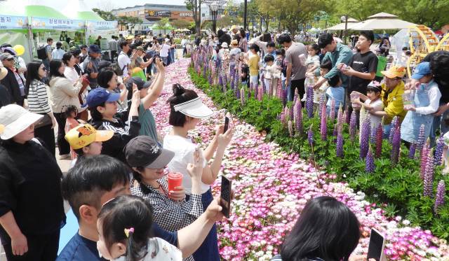 5월 전남 방문의 달 기간 열린 함평 나비축제. 사진 제공=전라남도
