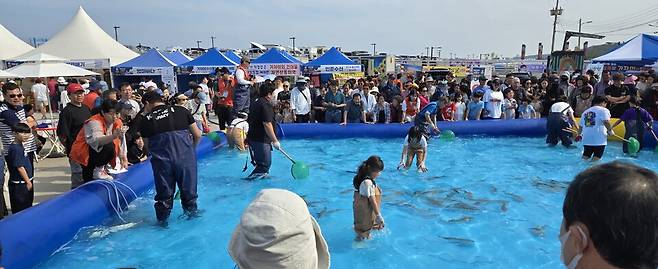&nbsp;6월 7일부터 8일까지 감포항에서 개최된 '가자미축제장을 찾은 관광객 가족들이맨손과 뜰채로 참가자미를 잡고 있다. ⓒ월성원자력