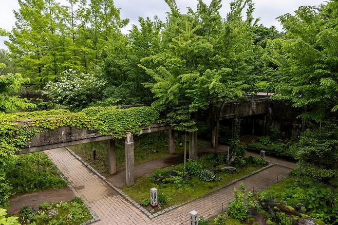선유도의 정원. 담쟁이 식물이 우거진 녹색 기둥이 멋드러져 사진 명소로 꼽힌다 사진제공|서울관광재단