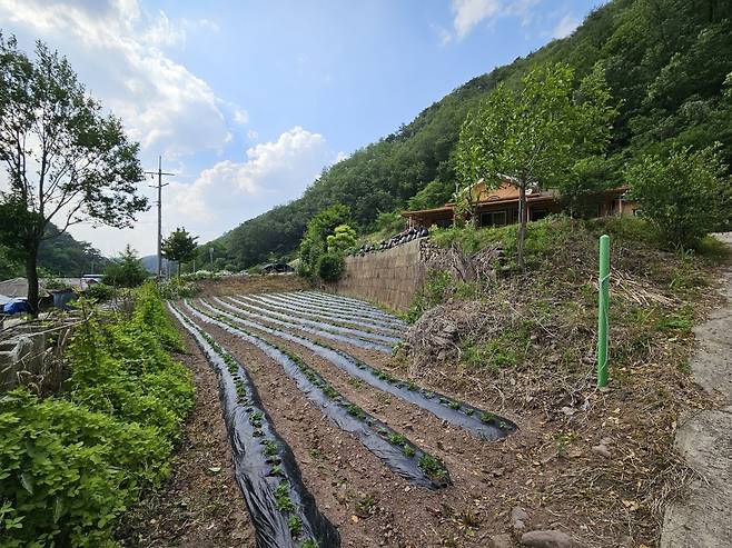 이재명 대통령 태어난 곳 sunhyung@yna.co.kr