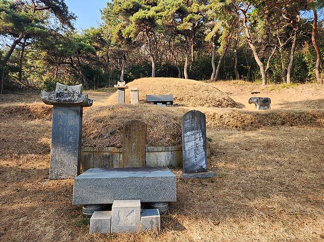 최부 무덤(무안군 몽탄면)