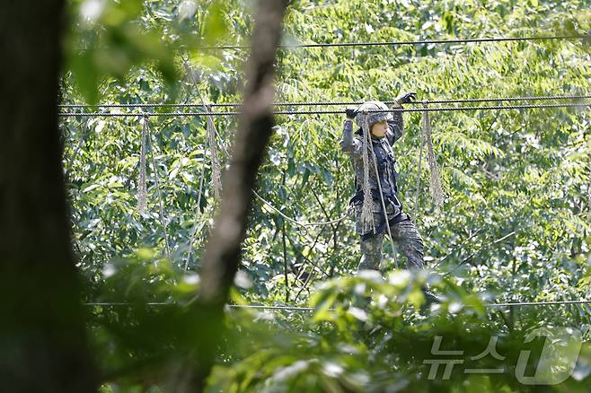 11일 국군간호사관학교 생도들이 전남 화순군 육군보병학교 동복유격훈련장에서 장애물극복훈련을 하고 있다. 2025.6.11/뉴스1 ⓒ News1 김태성 기자