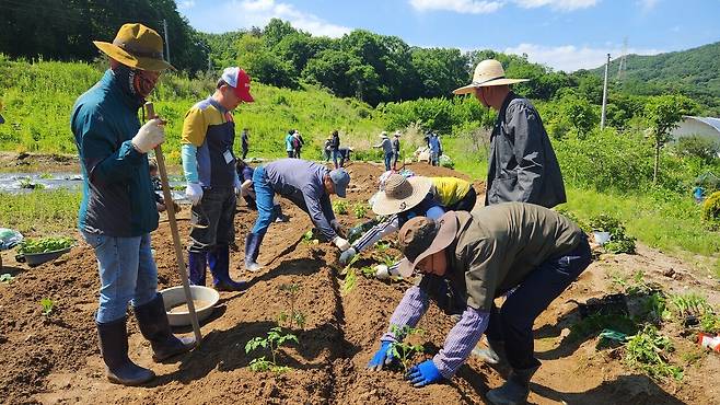 도심 속 일상에 자연의 숨결을 불어넣는 '도시농업'이 계룡시에서 새로운 가치로 주목받고 있다. 단순한 텃밭 가꾸기를 넘어 교육, 치유, 공동체 회복까지 아우르며 시민의 삶을 풍요롭게 만들고 있다. 사진은 도시농업관리사 양성교육(실습) 진행 모습. 계룡시 제공