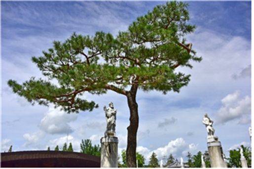 ⓒ솔뫼 이레나 광장