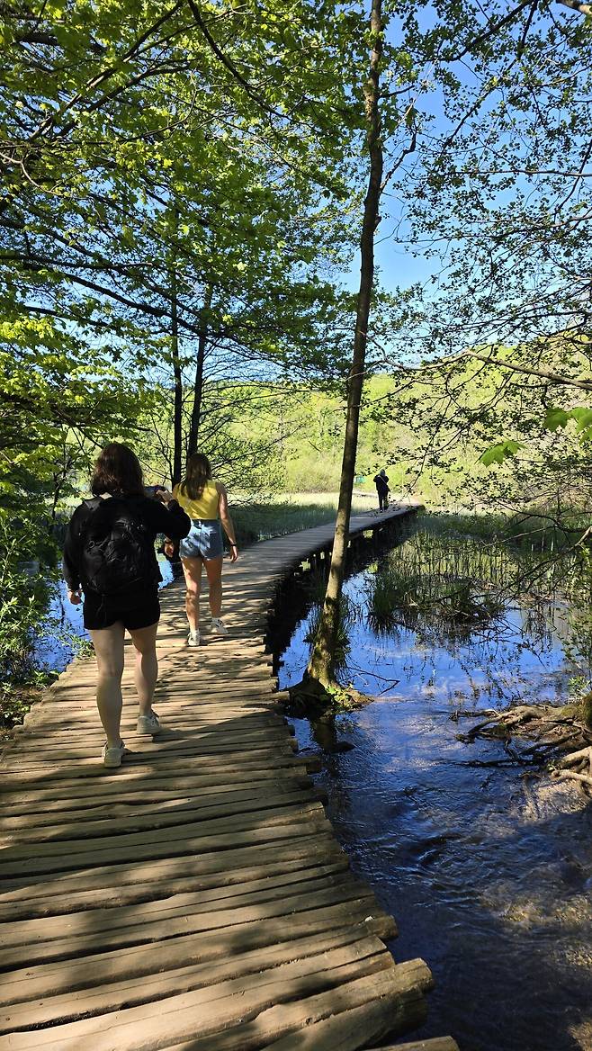 20250430_093018.jpg 꽃보다누나, 왕좌의 게임 그리고 모드리치의 나라