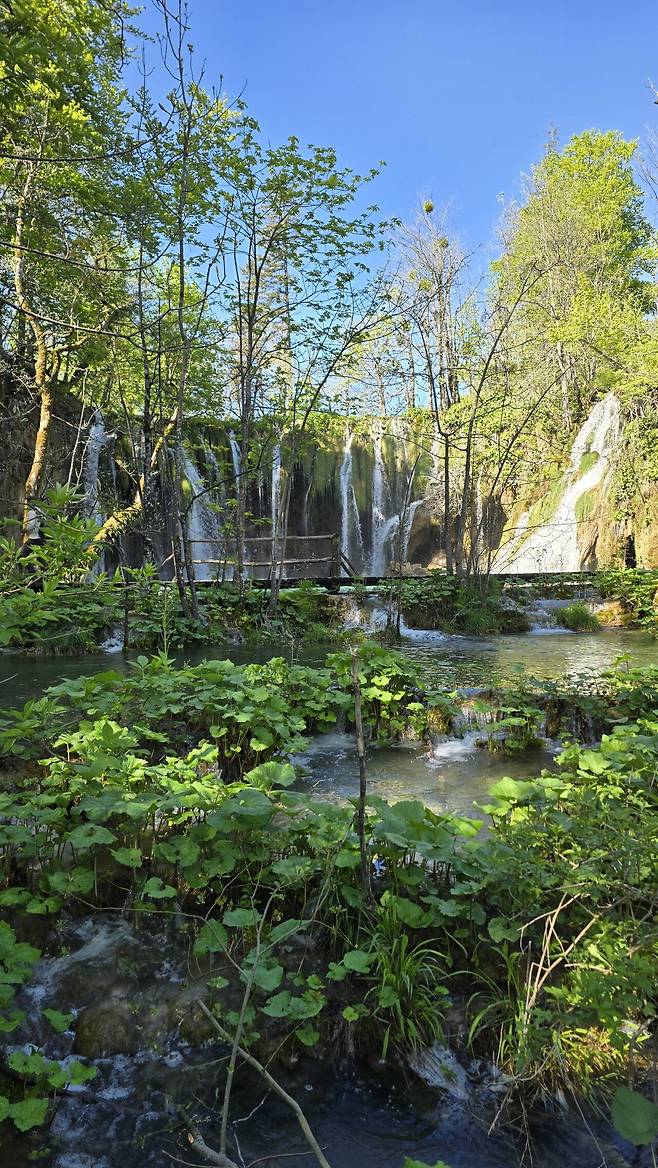 20250430_102126.jpg 꽃보다누나, 왕좌의 게임 그리고 모드리치의 나라