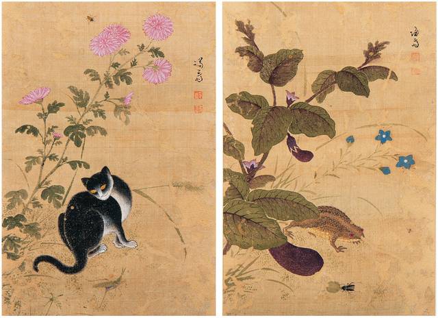 겸재 정선의 ‘화훼영모화첩’ 중 가을날 고양이를 그린 ‘추일한묘’(왼쪽)와 두꺼비와 가지가 있는 ‘하마가자’. 간송문화재단 제공