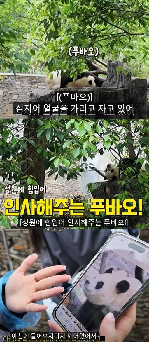 '김숙티비' 캡처