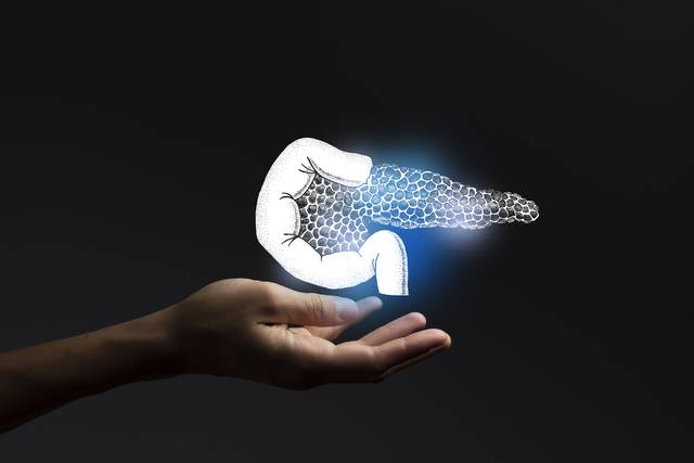 췌장암 환자의 항암제 반응을 보다 정확히 예측할 수 있는 미니 장기인 ‘오가노이드’가 개발됐다. 사진은 기사의 특정 사실과 관련 없음. 게티이미지뱅크