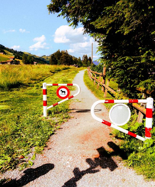 산책길에서 마주할 수 있는 전형적인 목가적 풍경