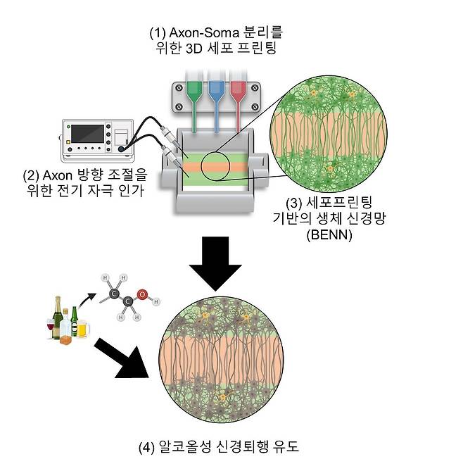 연구 관련 이미지 [포항공대 제공. 재판매 및 DB 금지]