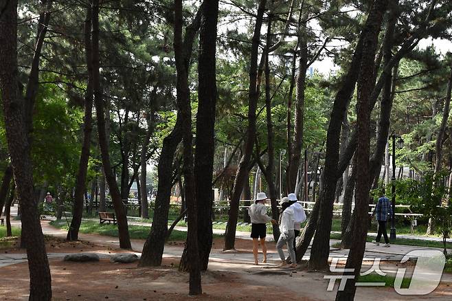 11일 오전 경북 포항시 송도 테마거리에서 시민들이 솔 향기를 맡으며 산책하고 있다. 2025.6.11/뉴스1 ⓒ News1 최창호 기자