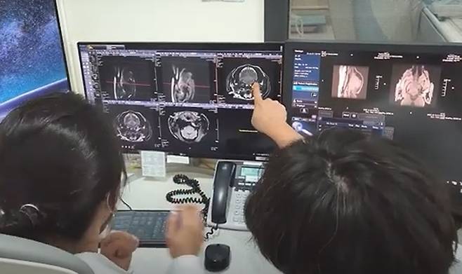 안양 본동물의료센터 의료진이 MRI 촬영을 진행하며 모니터링을 하고 있다(본동물의료센터 제공). ⓒ 뉴스1