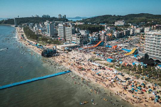보령시 대천해수욕장 전경. 보령시 제공
