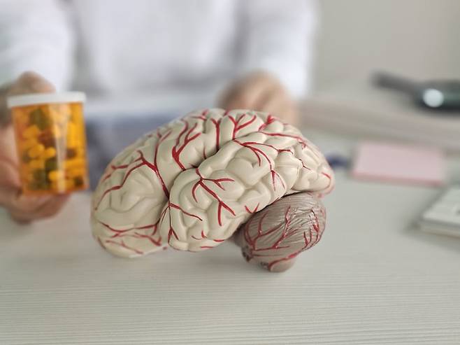 알츠하이머병으로 인한 생리적 변화를 탐지할 수 있는 핵심 물질이 발견됐다. 게티이미지뱅크 제공.