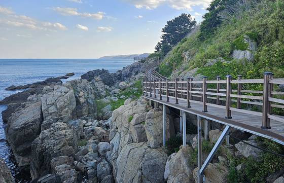 영덕 블루로드 죽도산 구간. 영덕은 바닷가 풍경이 아름다운 고장이다. 손민호 기자
