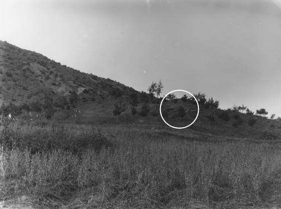 충혜왕이 안장된 영릉(永陵). 1910년대에 촬영된 사진이다. 원 안에 흐트러진 석물이 보인다. 능의 정확한 위치는 실전돼 알 수 없다. [사진 국립중앙박물관, 한국학중앙연구원, 이익주]